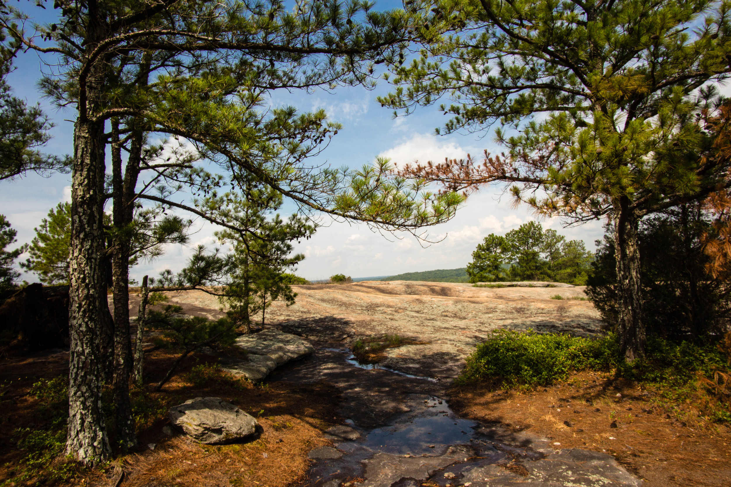 View from Arabia Mountain